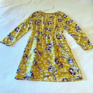 J. Crew Long Sleeve Dress